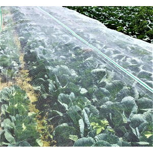 _CI ^Ct[Jo[  4m×50m 137 hlbg h h QJ΍ ׂ CmxbNX TT lzs s