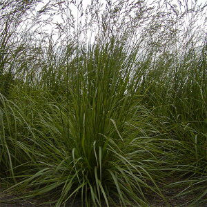  20kg g[tFXN tH[ c S s (o^i햼:tH[)