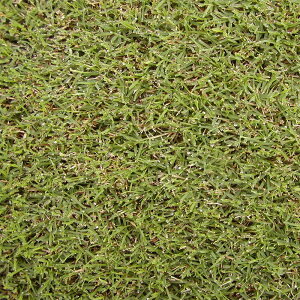  20kg o~[_OX s~bh2 c S s (o^i햼:s~bh2)