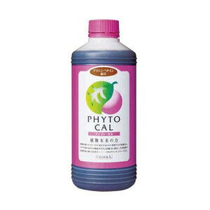 t@CgEJ 1L t@CgN[ 엿 JVE Ɏ_f ێZ gn[X ʕ  앨 _ _ |  VN D