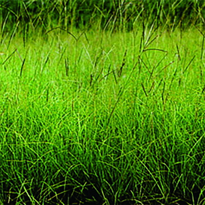  1kg oqAOX yTR gn^q iN ^LCc S s