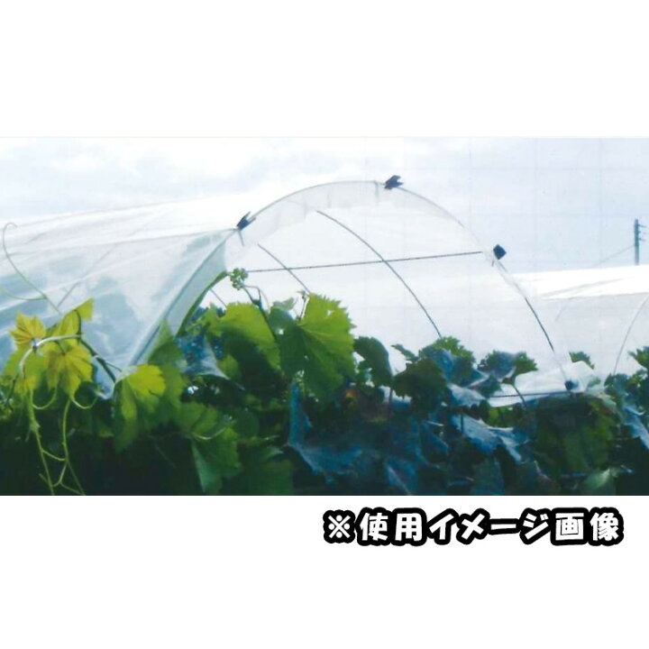 楽天市場】受注生産 10枚 トンネルメッシュ C型 完成品 3.2×1600 