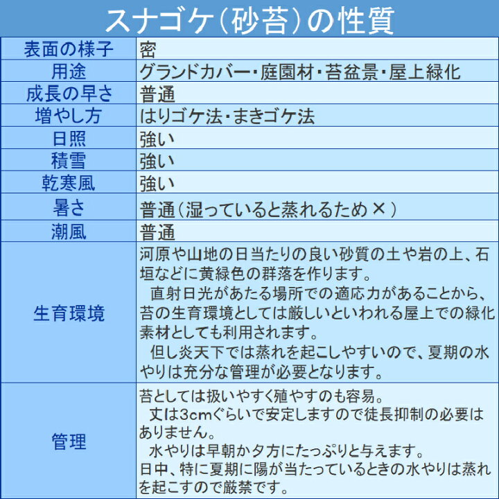市場 Panasonic Acアダプター パナソニック