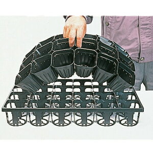 250 ̂ ^LCh~A| 9cm  24/1 ^LCc lzs s