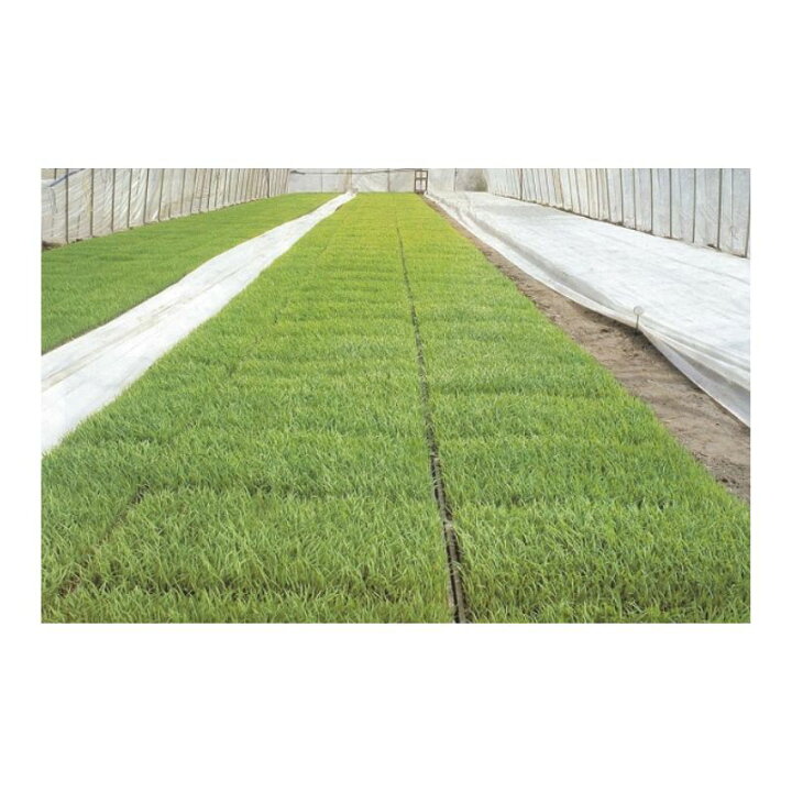 楽天市場】2本 ユニチカ ラブシート #2307WD 白 厚さ0.13mm×幅300cm×長 