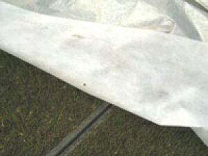 NEWACzbJ #40 2.1m×50m cp ۉsDz J}eA C^j ^S lzs kCs s