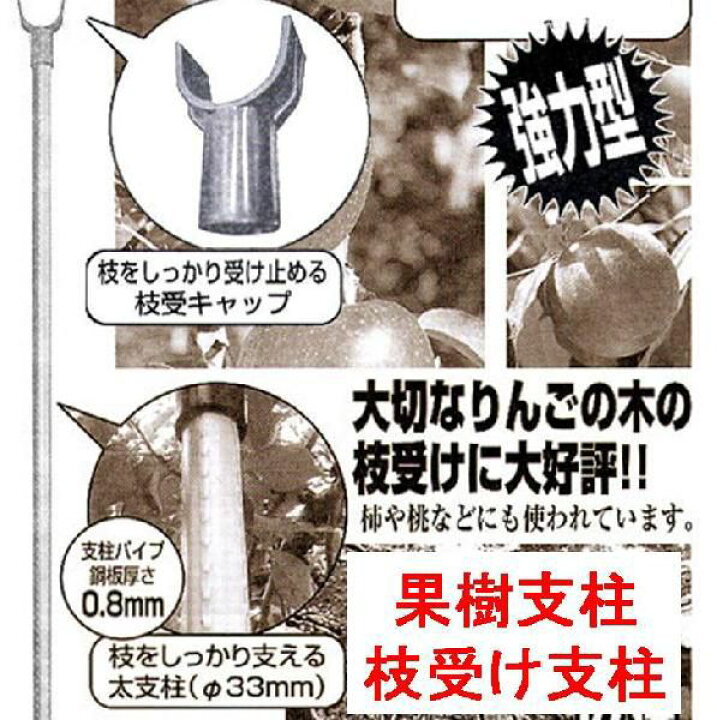 楽天市場】20本 枝受け支柱 果樹支柱 直径33×3000mm シンセイ 個人宅配 