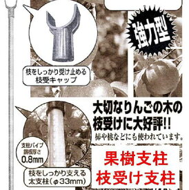 10本 枝受け支柱 果樹支柱 直径33×3300mm シンセイ シN 個人宅配送不可 直送