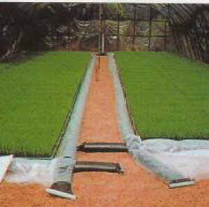 Ձ[ cv[V[g (B^Cv V[g2) c160p J{ lzs s