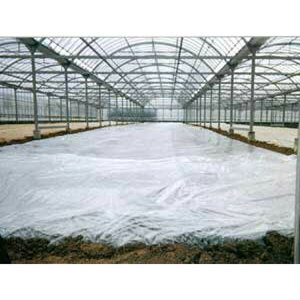 oA[X^[V 0.05mm×460cm×100m g[JY rj[nEX KXoA[  _PO _Ǝ ^S lzs s