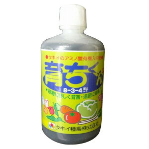 炿 1L ʗvf A~m_ L@t c ǔ ͉t t̔엿 ^LCc CN s