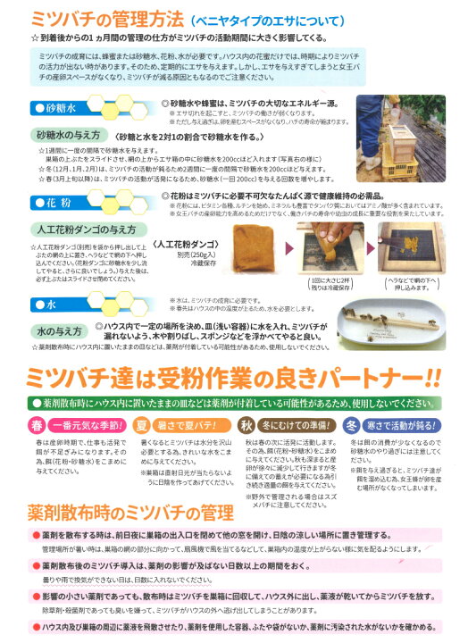 楽天市場】ミツバチ 受粉用 ミツバチボーヤ8000 長期 交配用 女王蜂付 
