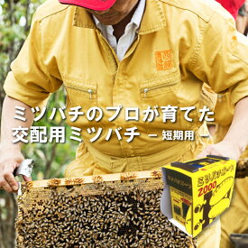 ミツバチ 受粉用 ミツバチボーヤ2000 短期 交配用 女王蜂なし 蜜蜂 2000匹 花粉 交配 授粉 スイカ メロン ピーマン ナス イチゴ 西岡養蜂園 タS 代引不可