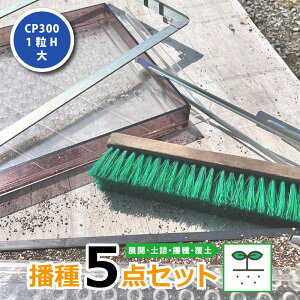 d5_Zbg CP300 1H- `F[|bg CP303 CP304 CP305 LP303-10 LP303-15 BP303 p dZbg ܂ jbe ^S lzs s