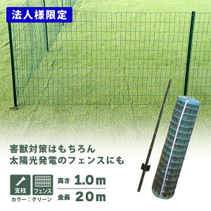  Aj}K[htFX Zbg 1.0×20m (tFX1Ex11{) O[ Aj}tFX hb zd  VZC lzs s GRF10
