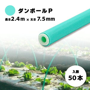 50{ _|[P }75   2.4m ×  7.5mm _Ǝ _Ɨp glx |    ؍͔| FGNV ^S lzs s