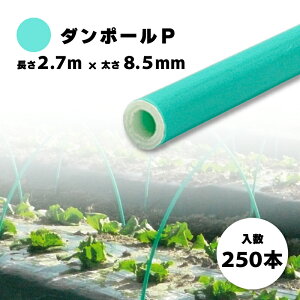 250{ _|[P }85   2.7m ×  8.5mm _Ǝ _Ɨp glx |    ؍͔| FGNV ^S lzs s