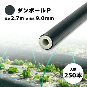 250{ _|[P }90   2.7m ×  9mm _Ǝ _Ɨp glx |    ؍͔| FGNV ^S lzs s