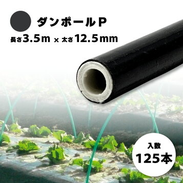 楽天市場】エントリーでポイント7倍 ニューセキスイポール 径5.5mm×長 