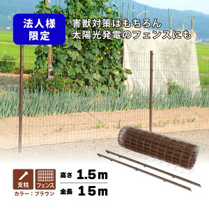  Aj}tFX Zbg 1.5×15m (tFX1Ex11{) uE i zd hbO vXCY lzs VN s BRF15