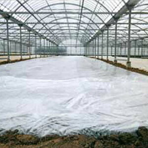 oA[X^[V 0.05mm×600cm×100m g[JY rj[nEX KXoA[  _PO _Ǝ ^S lzs s