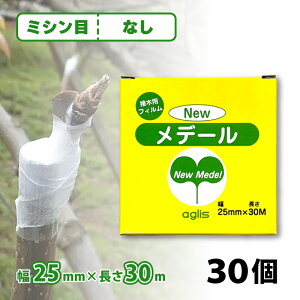 30 j[f[ ږؗpe[v ~Vږ 25mm × 30m NEWf[ ڂ ږ ږ؃e[v ڂ؃e[v ~ o ʎ AOX TT s