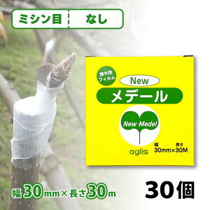 30 j[f[ ږؗpe[v ~Vږ 30mm × 30m NEWf[ ڂ ږ ږ؃e[v ڂ؃e[v ~ o ʎ AOX TT s