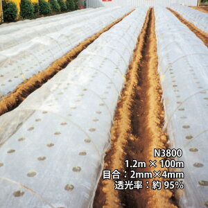 1.2m×100m i` hTTlbg N3800 rj[nEX gl Ȃǂ hlbg {ChNX ^S lzs s