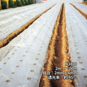 2m×100m i` hTTlbg N3800 rj[nEX gl Ȃǂ hlbg {ChNX ^S lzs s