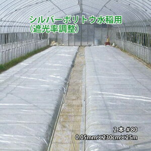 2�{ �V���o�[�|���g�E ���� �p ��80 0.05mm×230cm×25m ��c �� �g�[�J�� �^S �l��z���s�� ����s��