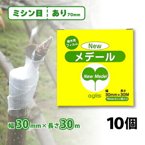 10 j[f[ ږؗpe[v ~V70mm 30mm × 30m NEWf[ ڂ ږ ږ؃e[v ڂ؃e[v ~ o ʎ AOX TT DZ