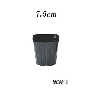 6000 TOVXeVO|bg 7.5cm Obvdl V[^|bg  RpNg ^ |bg  A  C G  s