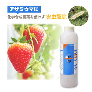 VG gbv 50000 900ml NNXJu_j AU~E}쏜 nEX rj[nEX {ݍ͔| C`S iX _앨 _ AOZNg ^S s