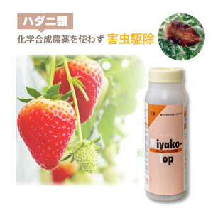 VG ~Rgbv 2000 250ml ~RJu_j n_jދ쏜 nEX {ݍ͔| C`S    ͔| _ _앨 AOZNg ^S s