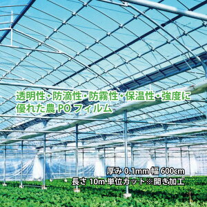  _PO 55w 0.1mm 600cm 10mPʃJbgJHi hH h lzs  ^S s