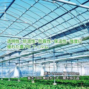  _PO 55w 0.1mm 1000cm 10mPʃJbgJHi hH h lzs  ^S s