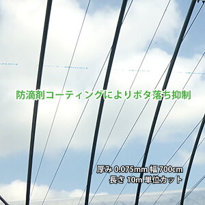 lzs _PO 5w hH 0.075mm 700cm 10mPʃJbg  ^S s