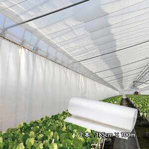 2{ Tj[R[g ^Cv 185cm×100m w\ ۉ핢 rj[nEX nEX ۉ V[g FGNV ^S lzs s