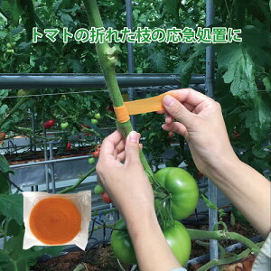 [ g}g̕ IW sDz e[v ܂ꂽg}ǧs̉}u C TTDZ lR|X