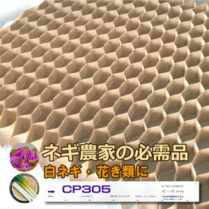 150 () `F[|bg CP305 CP-305 264 5.0cm 3.0×5.0cm d ܂ c lM Ԃ  _  jbe ^S lzs s