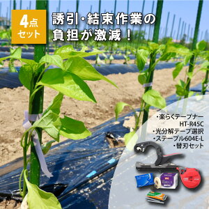 e[vi[4_Zbg y炭e[vi[ HT-R45C e[vI Xe[v604E-L ֐nZbg |p U@ | U  _Ɨpi }bNX MAX DZ