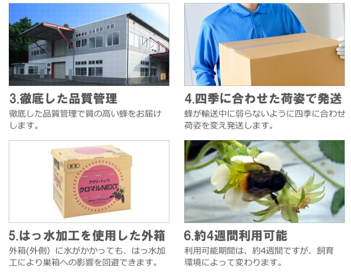 楽天市場】2箱 アグリ・トップ クロマルNEXT クロマルハナバチ 受粉用 