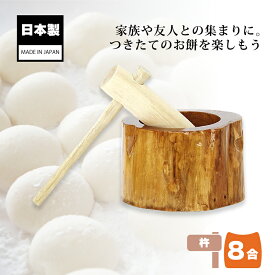 木製ミニ臼セット 8合用 23676 木製ミニ臼＋キネ1本 8合 餅つき もちつき セット うす 臼 きね 杵 家庭用 道具 作り方 付き おすすめ ナガノ産業 代引不可