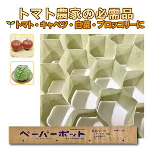 300 y[p[|bg V-5 91 a5.0×5.0cm jbe {[ؐ ^S lzs s