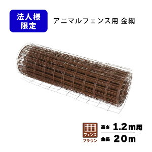 tFX̂  1.2×20m Aj}tFXp  uE iϑ΍ vXCY lzs VN s BRF12