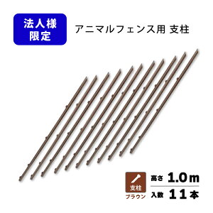 x̂  Aj}tFX 1.0mp x11{ uE iϑ΍ vXCY lzs VN s BRF10