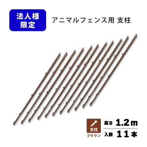 x̂  Aj}tFX 1.2mp x11{ uE iϑ΍ vXCY lzs VN s BRF12