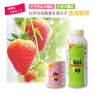 2_Zbg VG Rgbv 250 100ml & `gbv 2000 500ml Q쏜 nEX rj[nEX {ݍ͔| _ AOZNg ^S s