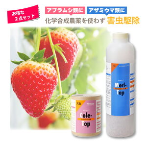 2_Zbg VG Rgbv 250 100ml & gbv 50000 900ml Q쏜 nEX rj[nEX {ݍ͔| _ AOZNg ^S s