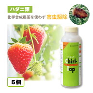 5個 天敵製剤 チリトップ 2000頭 500ml チリカブリダニ ハダニ類駆除 ハウス ビニールハウス 施設栽培 イ…